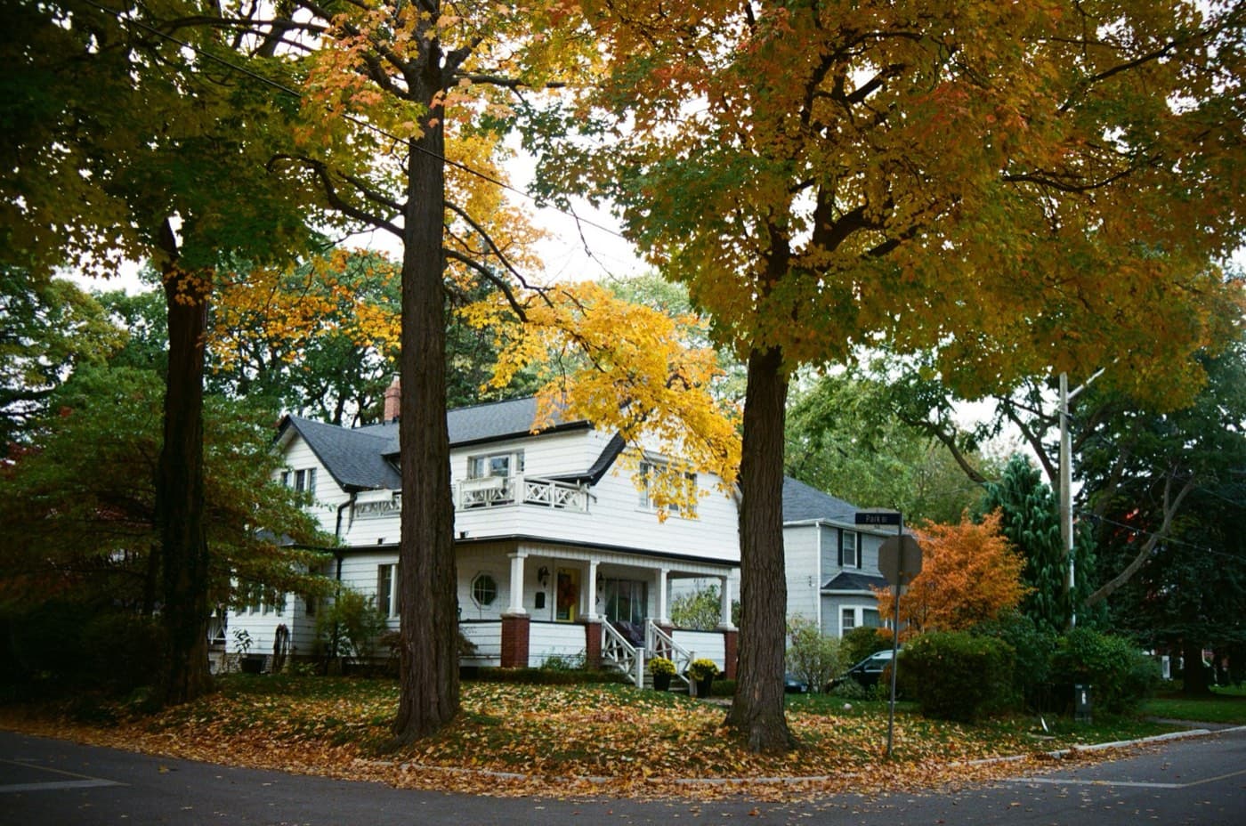 A white two-storey house with a front porch under tall maples, fallen leaves covering the lawn and street