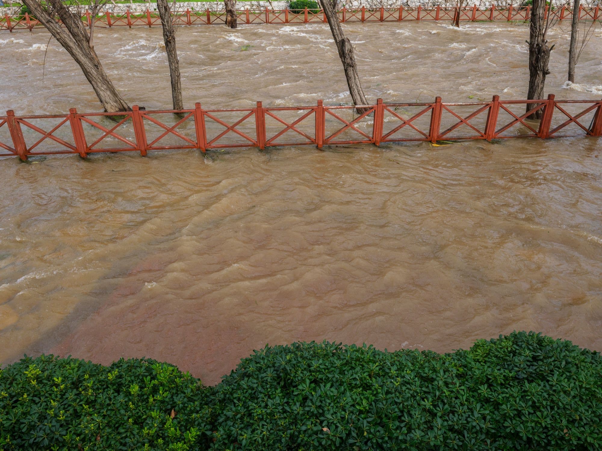 Muddy floodwater from a swollen river running over a red park fence and between trees